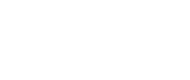 Bluffview Insurance Logo White
